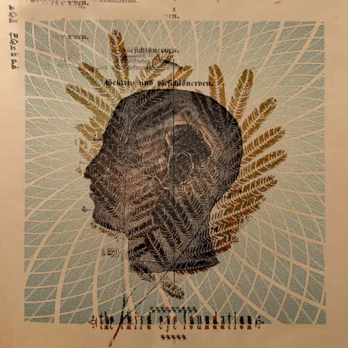 Cover of The Third Eye Foundation – Wake the Dead
