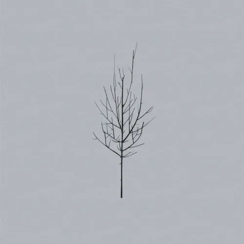 Cover of Low – Ones and Sixes