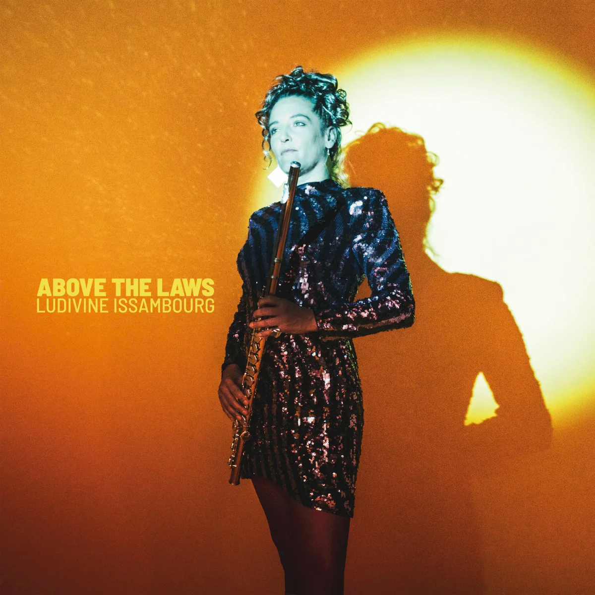 Obal alba Ludivine Issambourg – Above the Laws
