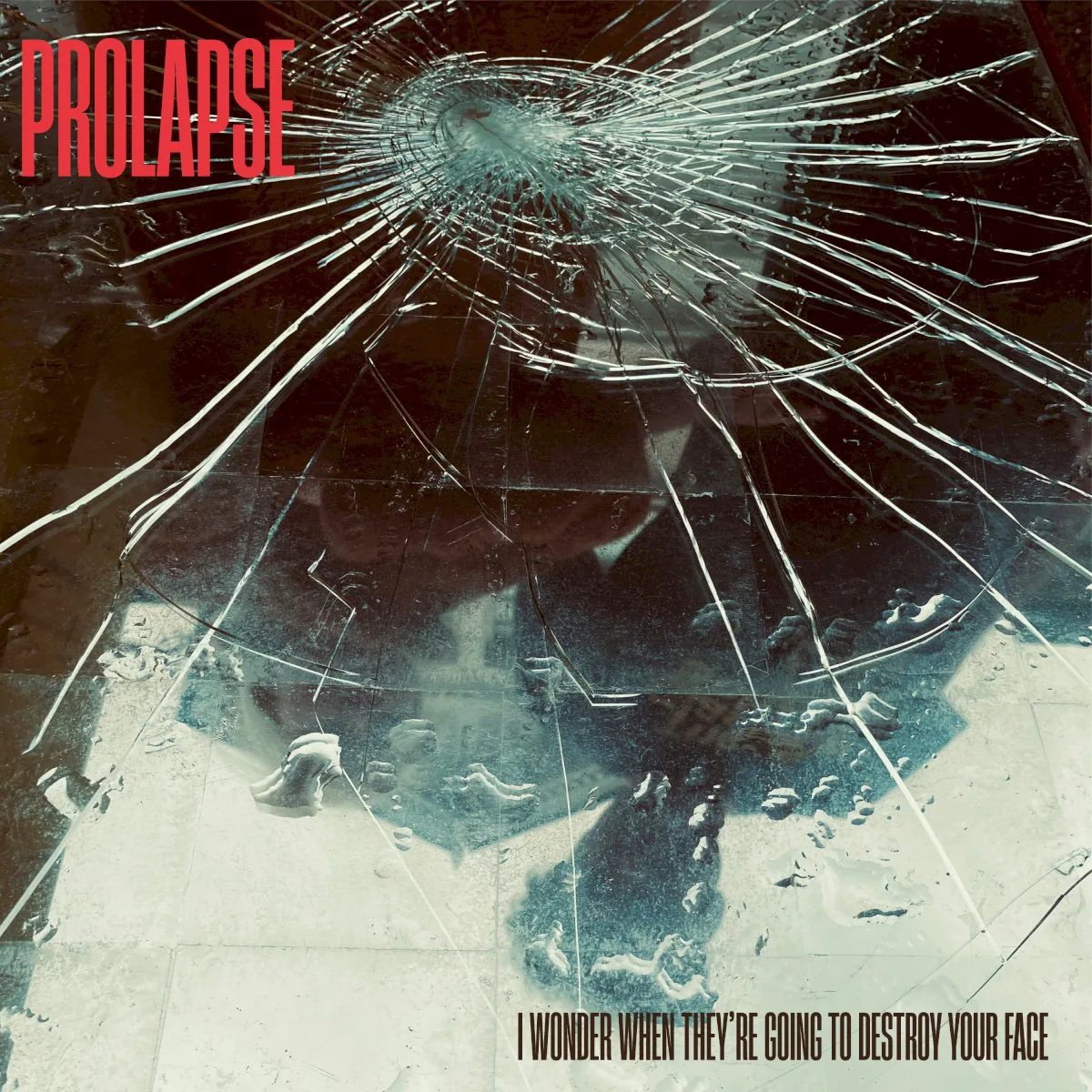 Cover of Prolapse – I Wonder When They’re Going To Destroy Your Face