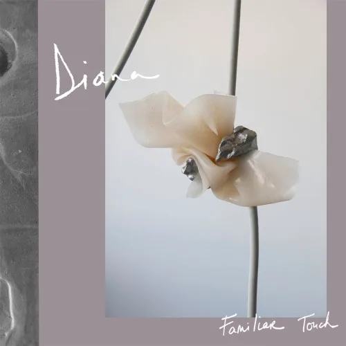 Cover of DIANA – Familiar Touch