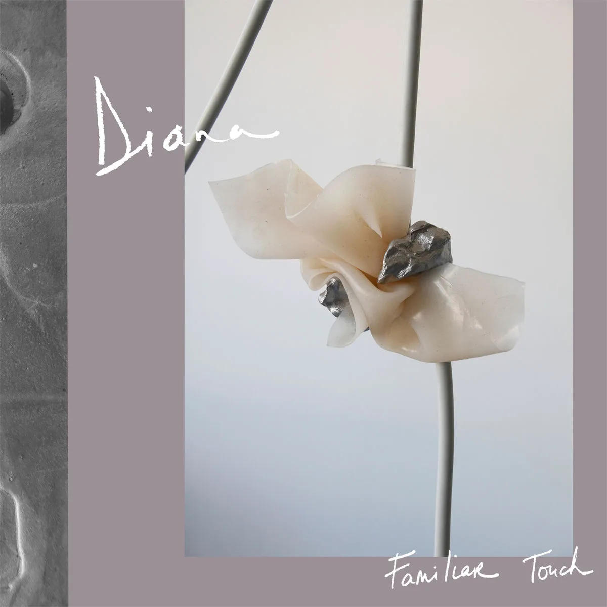 Cover of DIANA – Familiar Touch