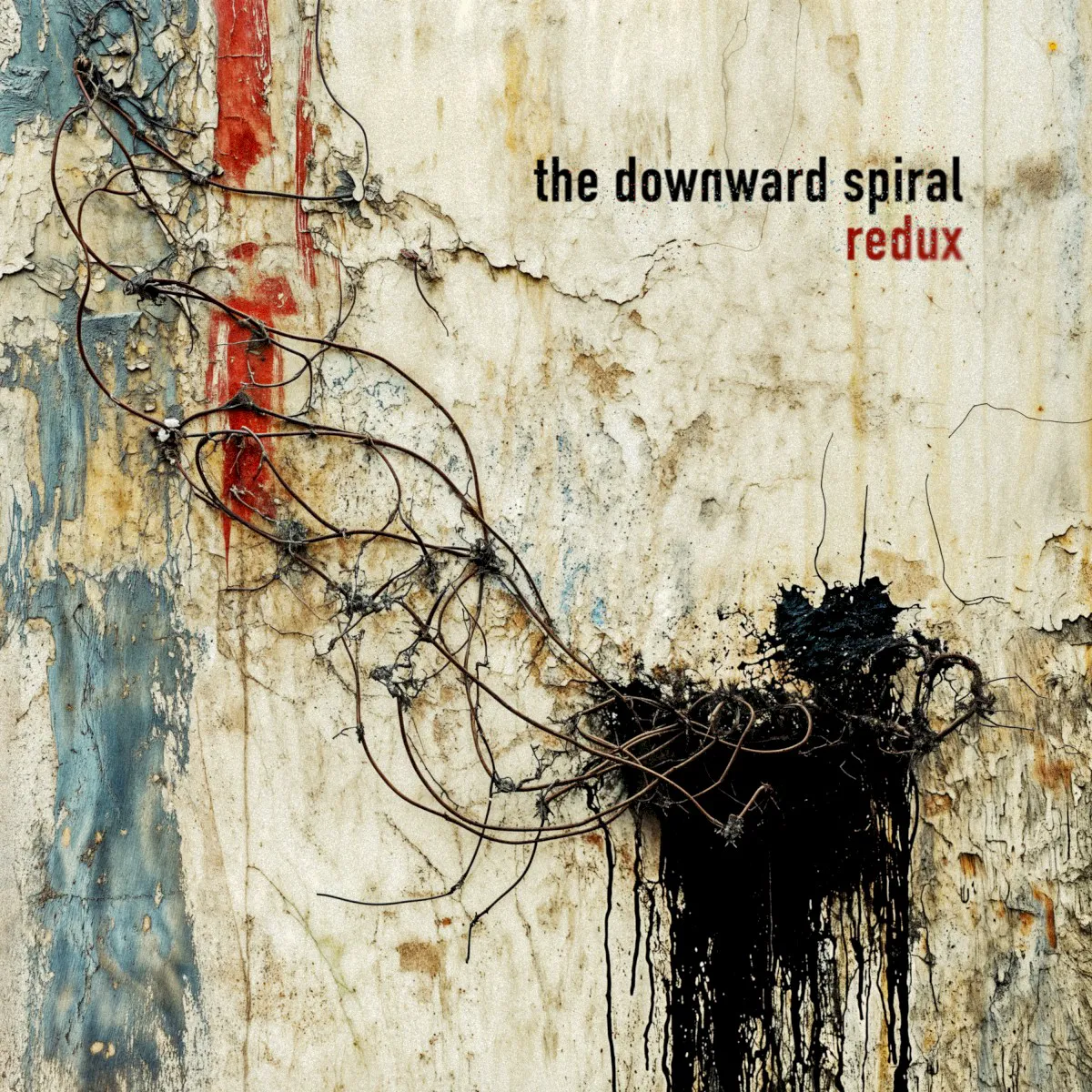 Cover of The Downward Spiral (redux)