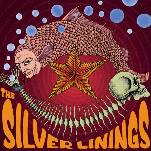 Cover of The Silver Linings – Pink Fish