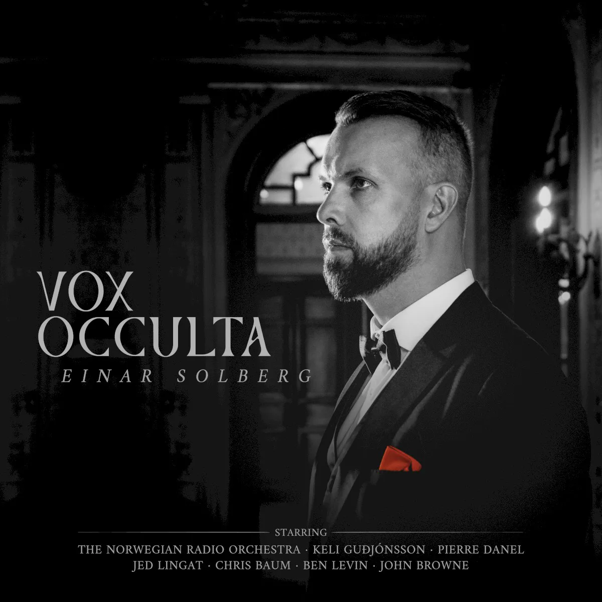 Cover of Vox occulta
