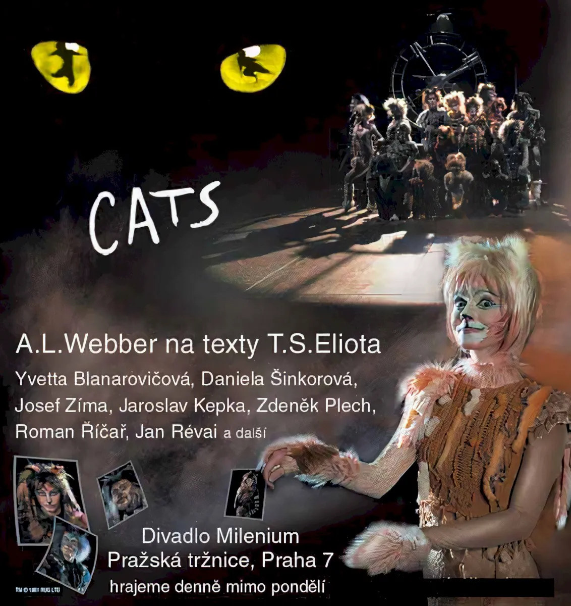 Cover of Cats