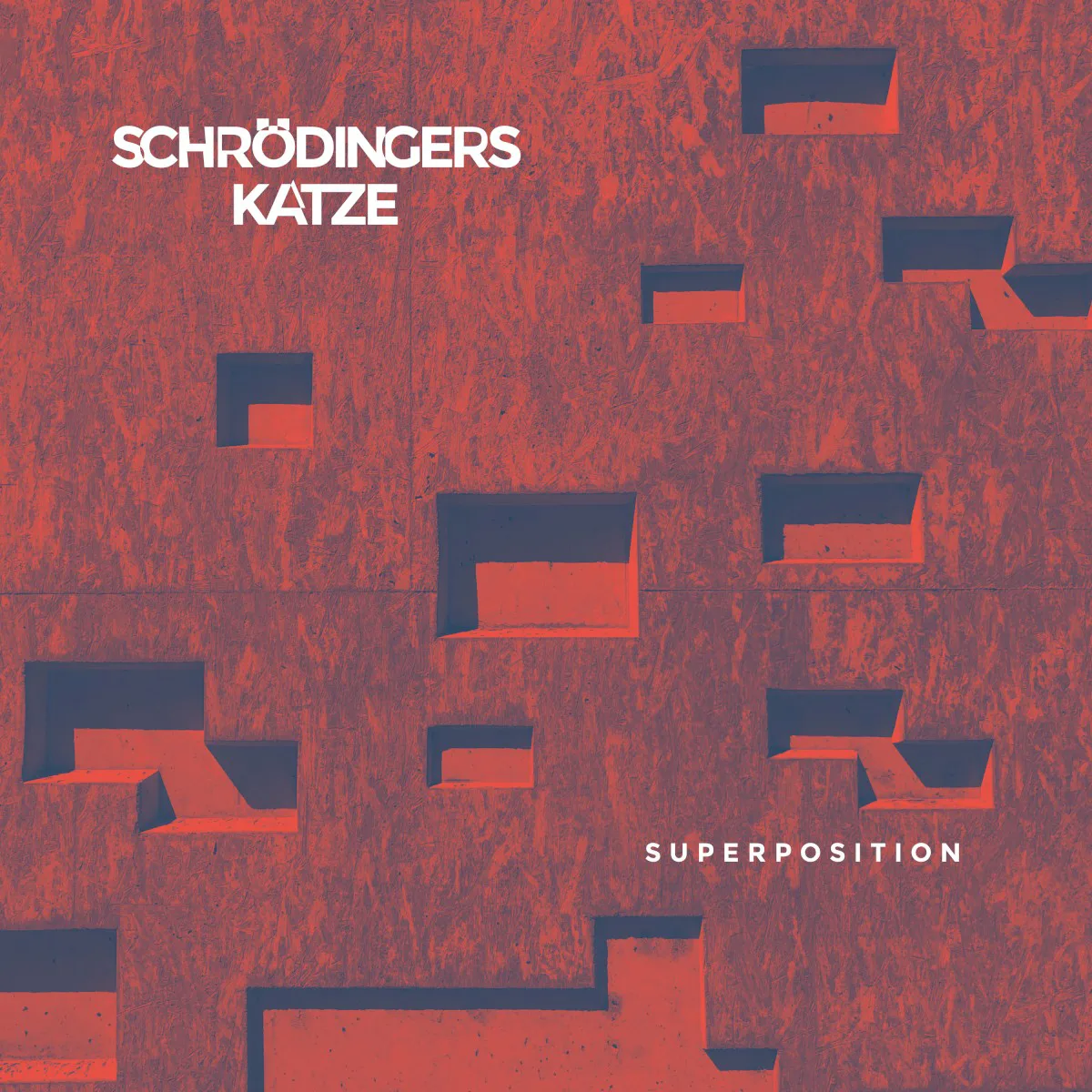 Cover of Schrödingers Katze – SUPERPOSITION