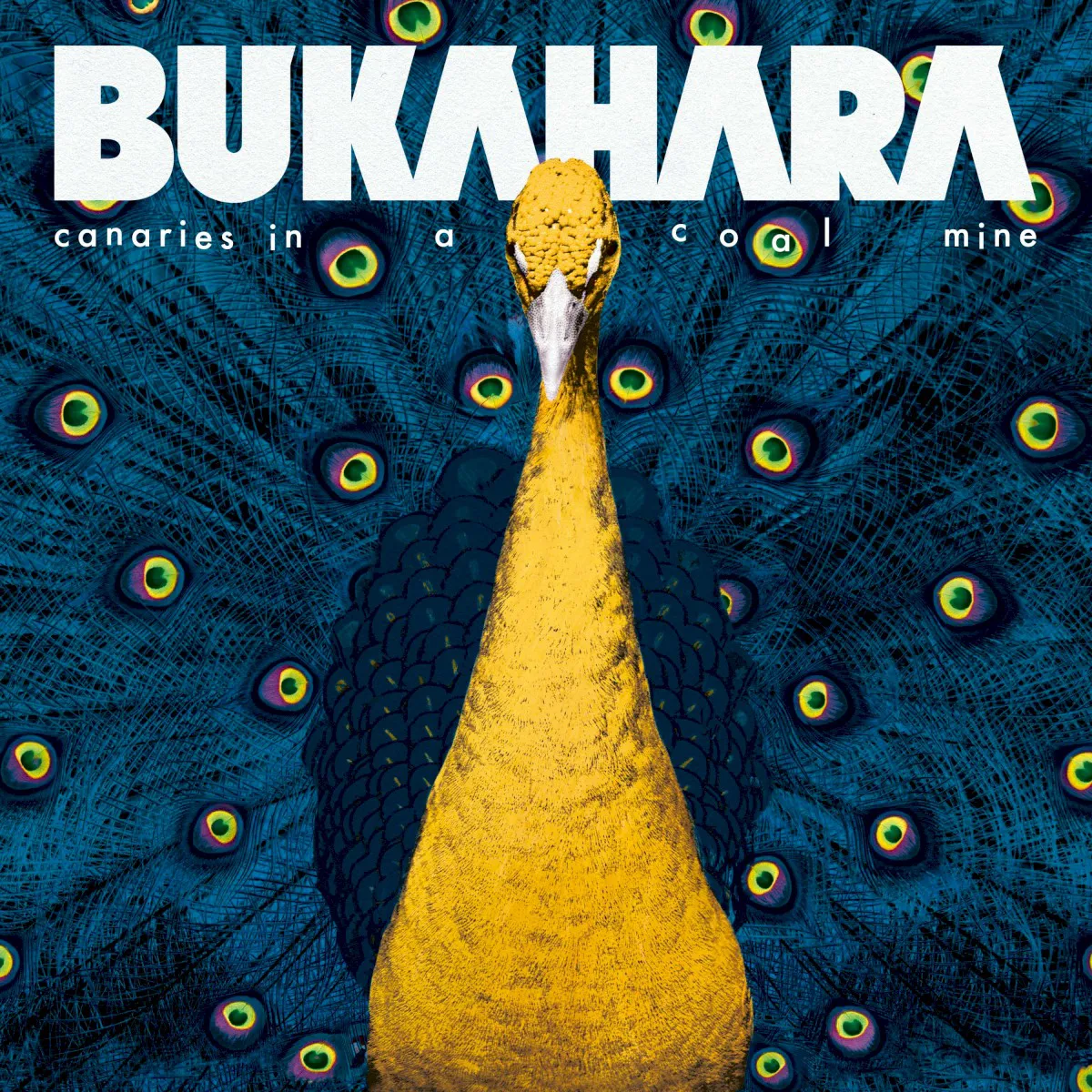 Obal albumu Canaries in a Coal Mine