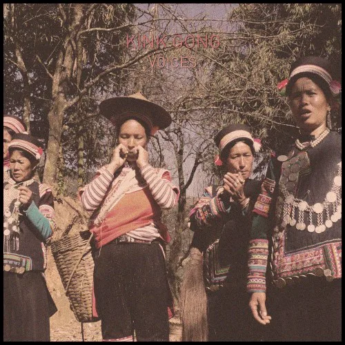Cover of Kink Gong – Voices