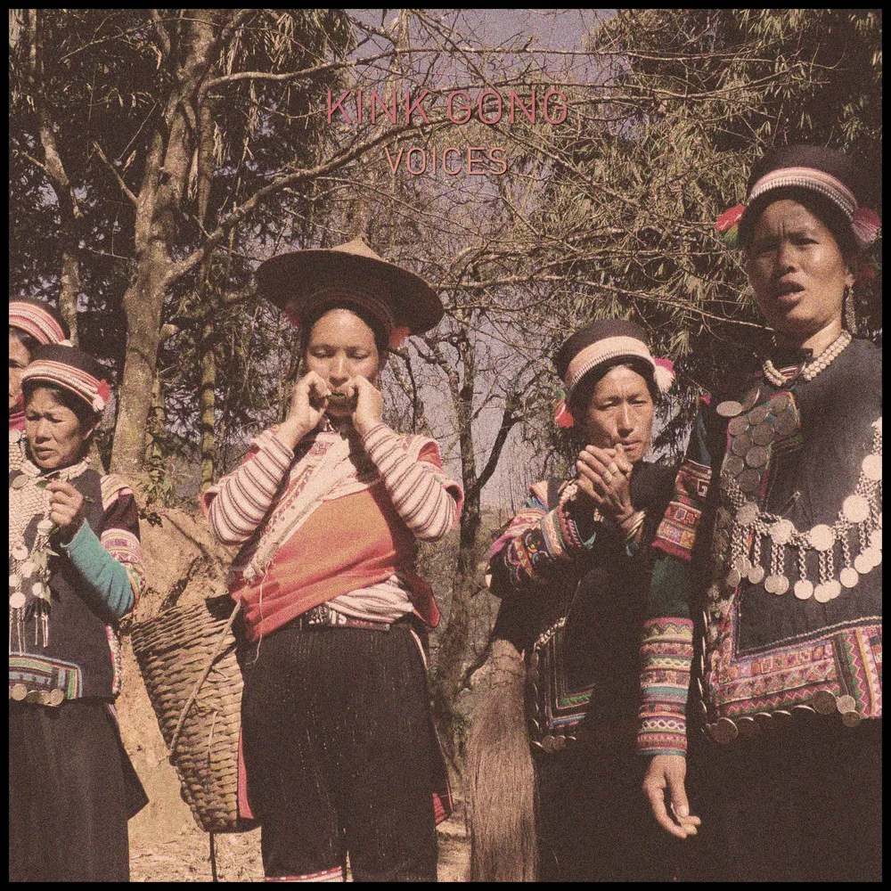Cover of Kink Gong – Voices