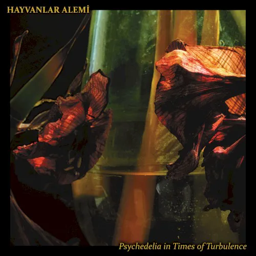 Cover of Hayvanlar Alemi – Psychedelia in Times of Turbulence