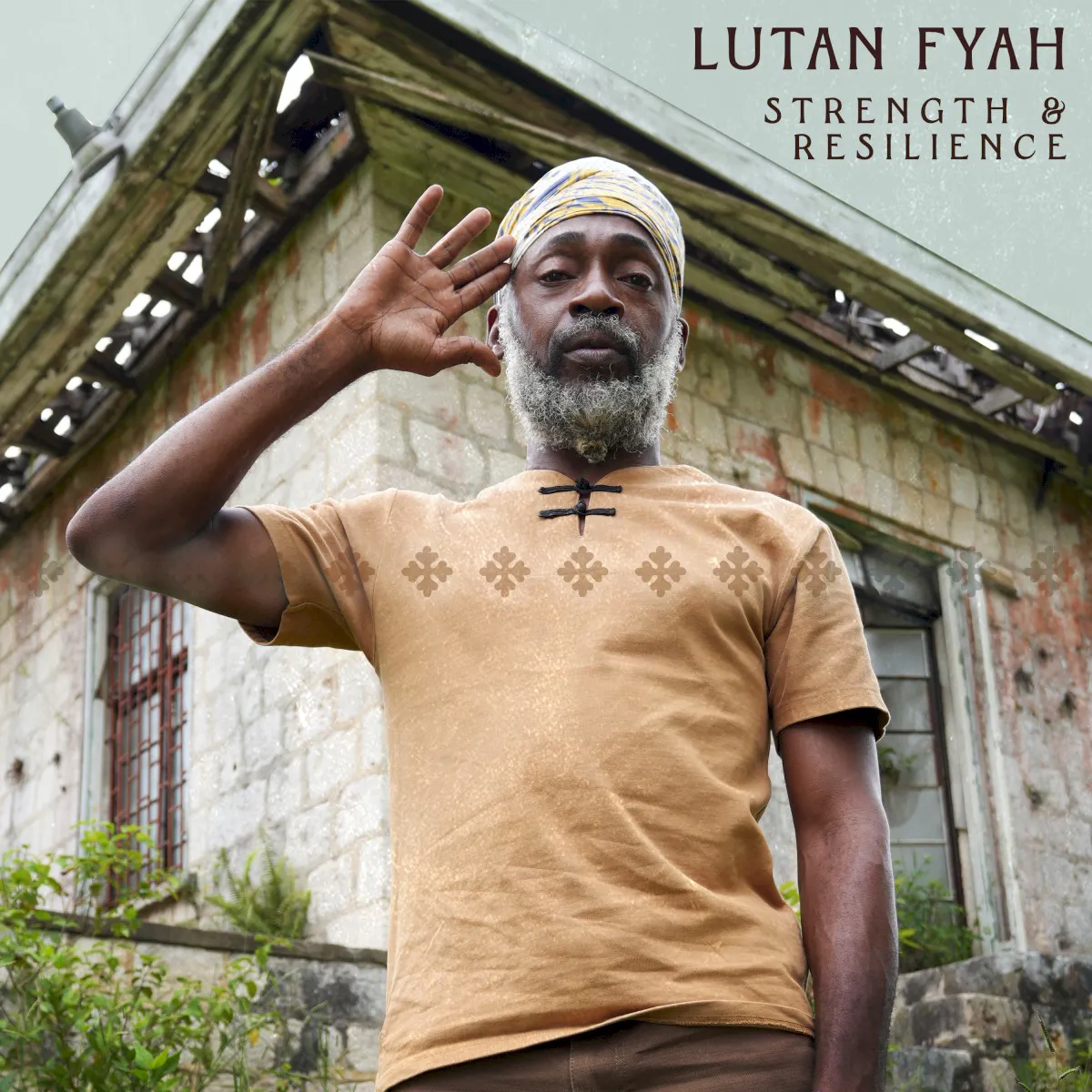 Cover of Strength & Resilience