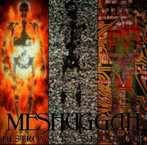 Cover of Meshuggah – Destroy Erase Improve