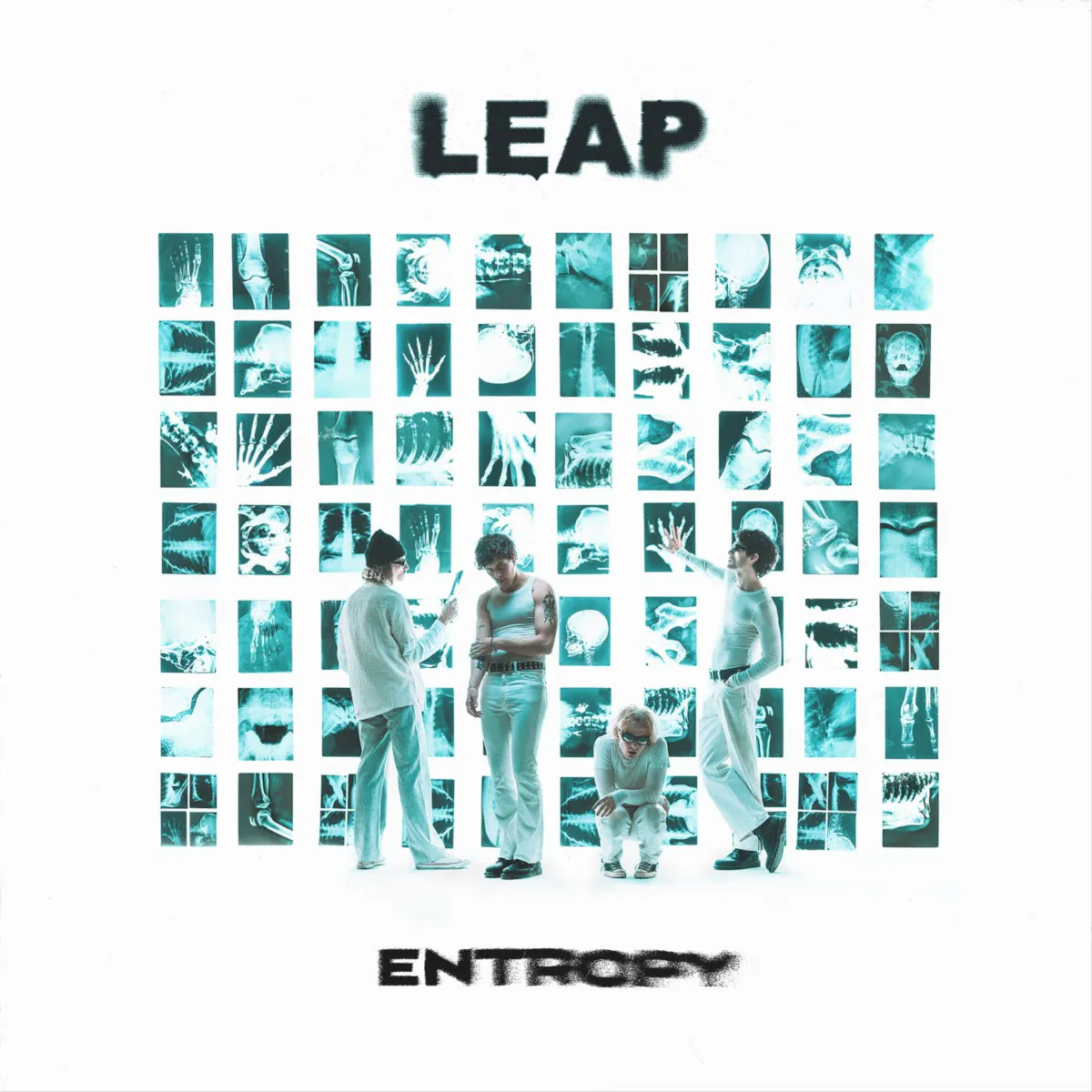 Cover of Entropy