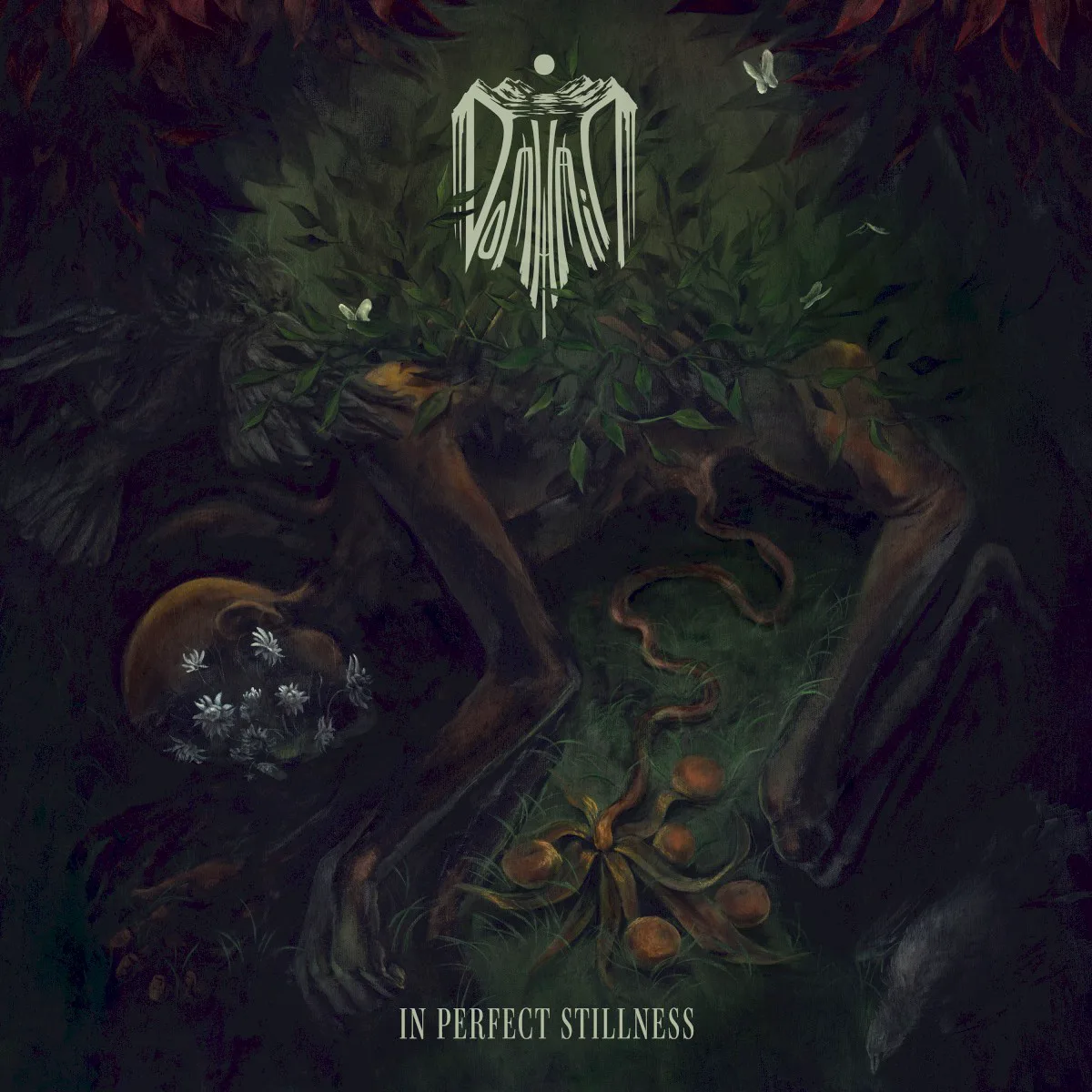 Cover of Domhain – In Perfect Stillness