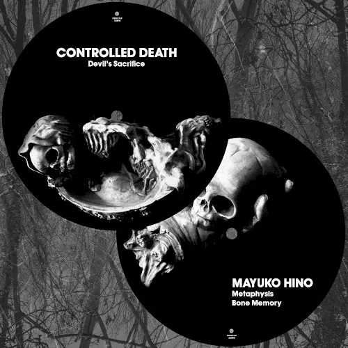 Cover of Controlled Death, 日野繭子 – Controlled Death / Mayuko Hino