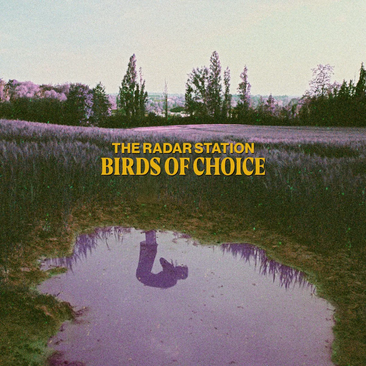 Obal alba The Radar Station – Birds of Choice