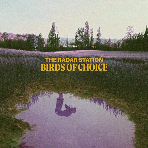 Obal alba The Radar Station – Birds of Choice
