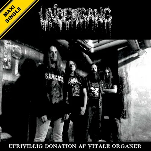 Cover of Undergang – Ufrivillig donation af vitale organer