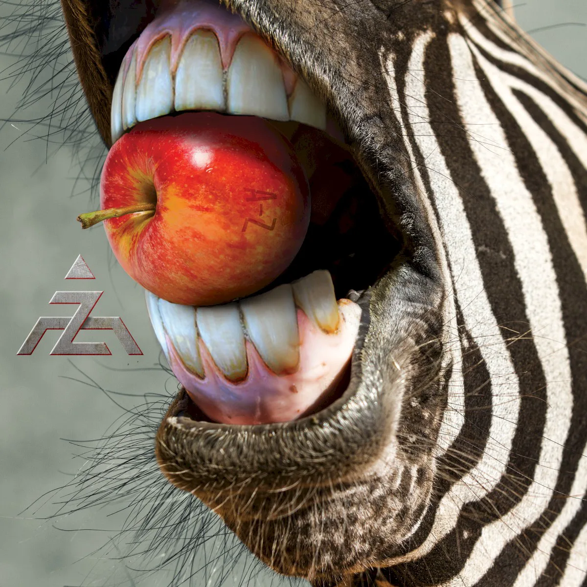 Cover of A-Z – A-Z