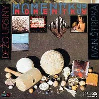 Cover of Momentky