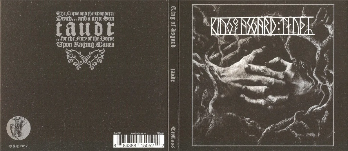 Cover of King of Asgard – :taudr: