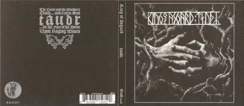 Cover of King of Asgard – :taudr: