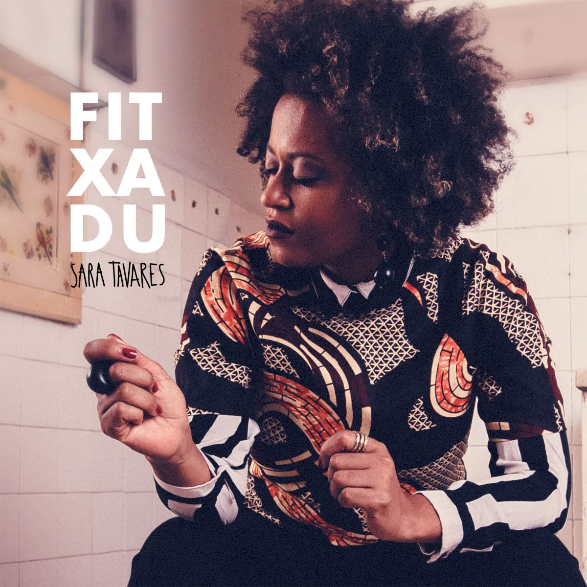 Cover of Fitxadu