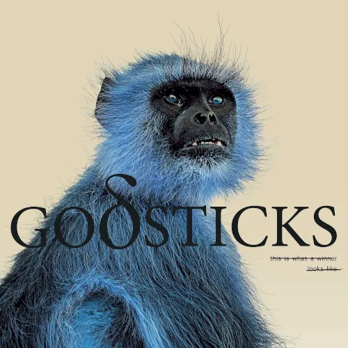 Cover of Godsticks – This Is What a Winner Looks Like