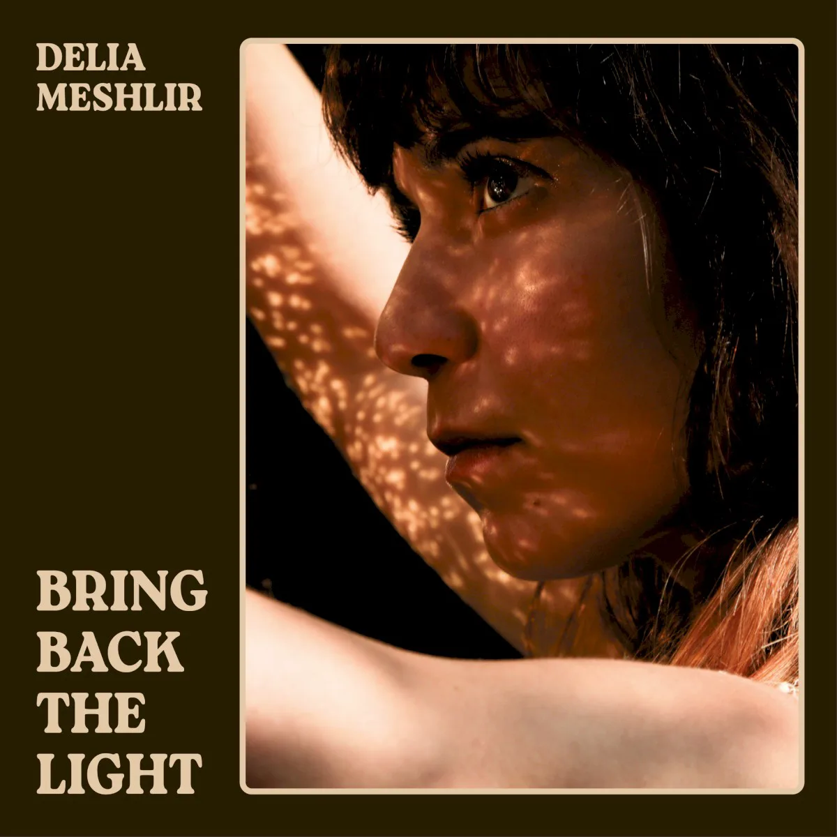 Obal alba Delia Meshlir – Bring Back the Light