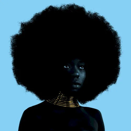 Cover of Sudan Archives – Sink