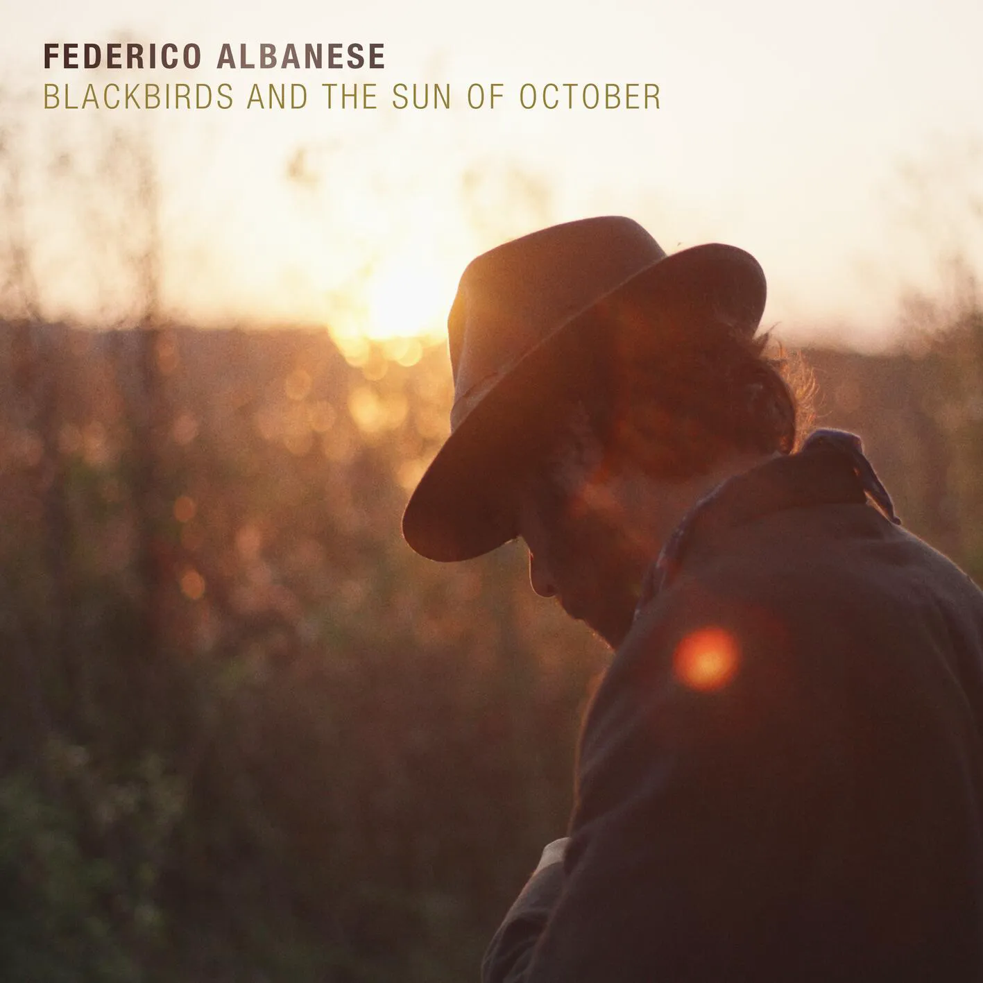 Cover of Blackbirds and the Sun of October
