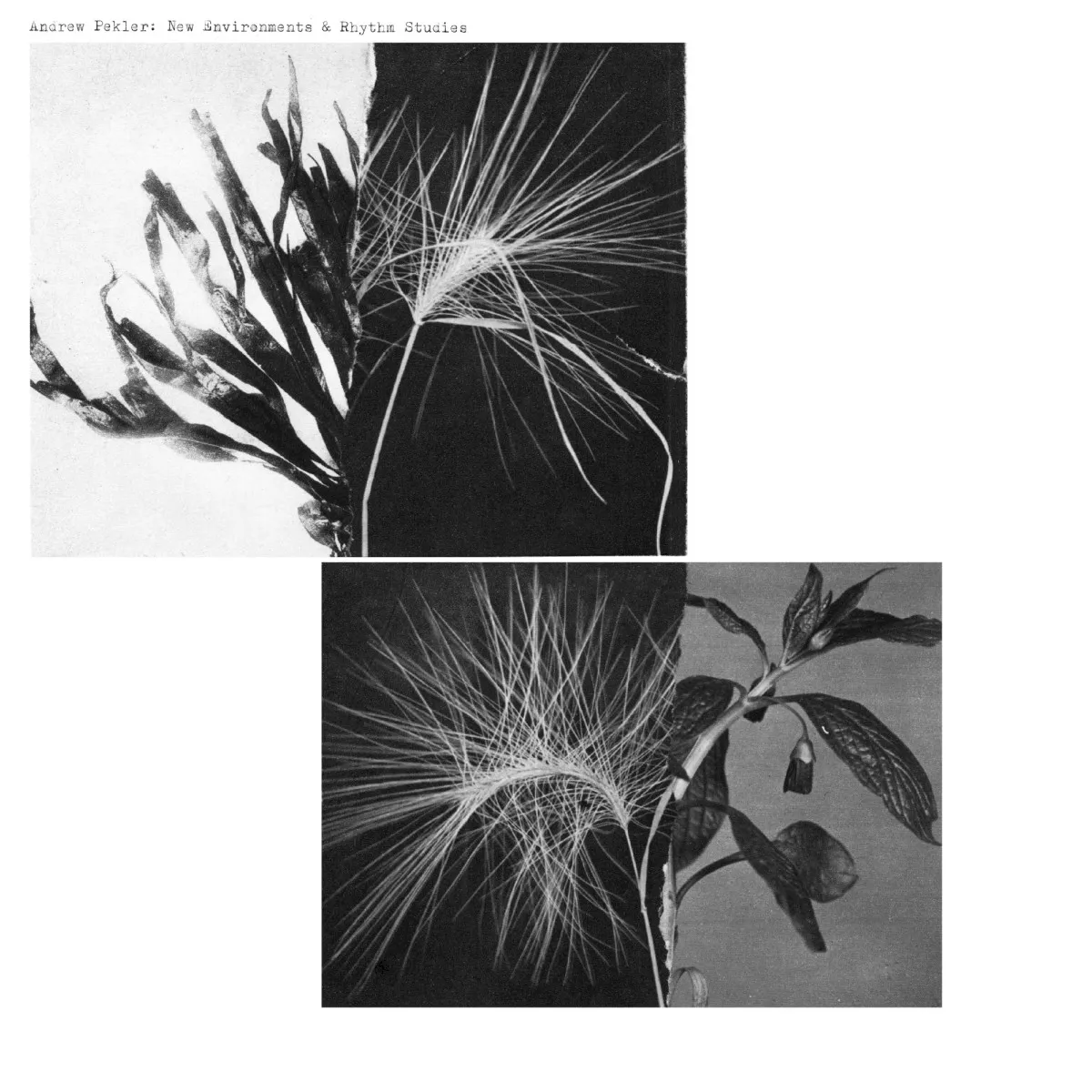 Obal alba New Environments & Rhythm Studies