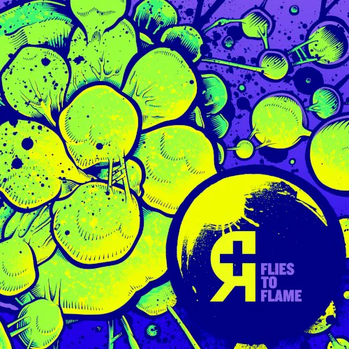 Cover of Rosetta – Flies to Flame