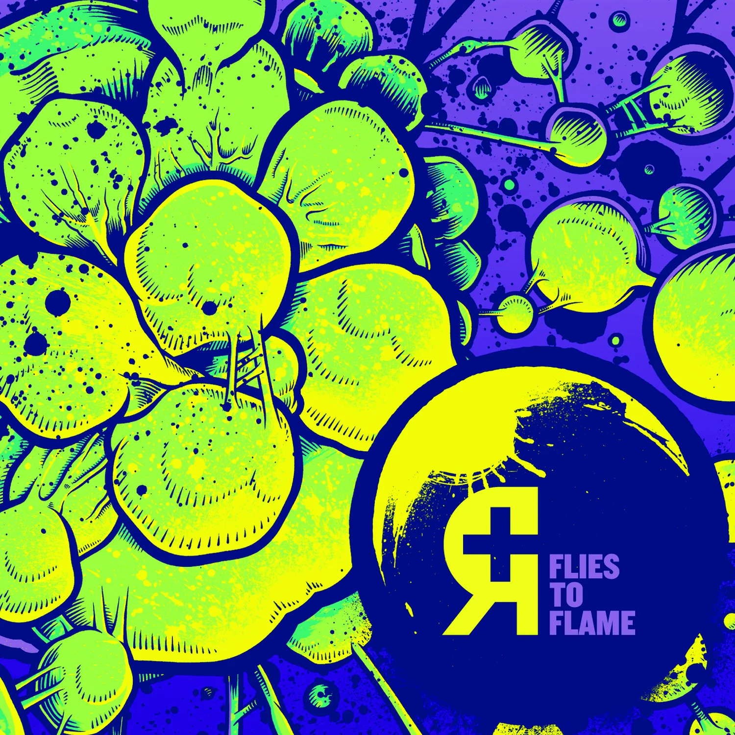 Cover of Rosetta – Flies to Flame