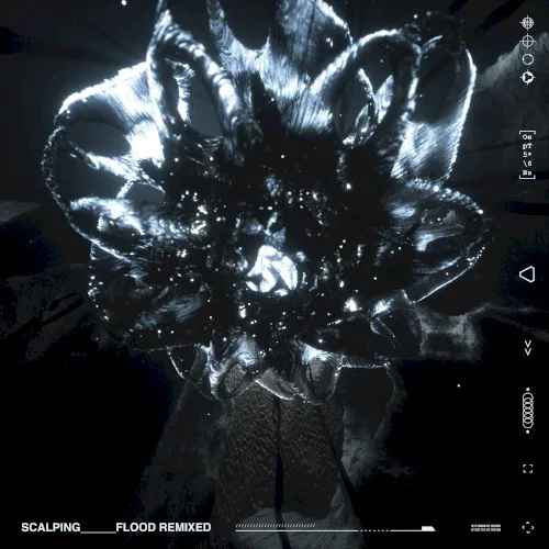 Cover of SCALER – Flood Remixed