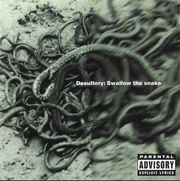 Cover of Desultory – Swallow the Snake
