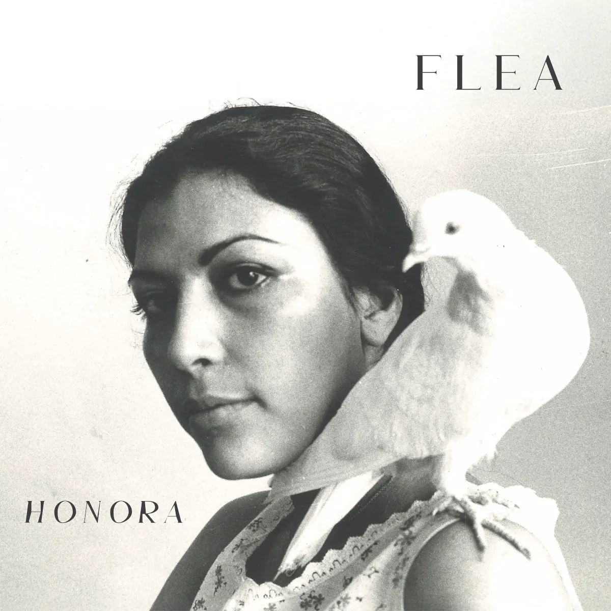 Cover of Honora