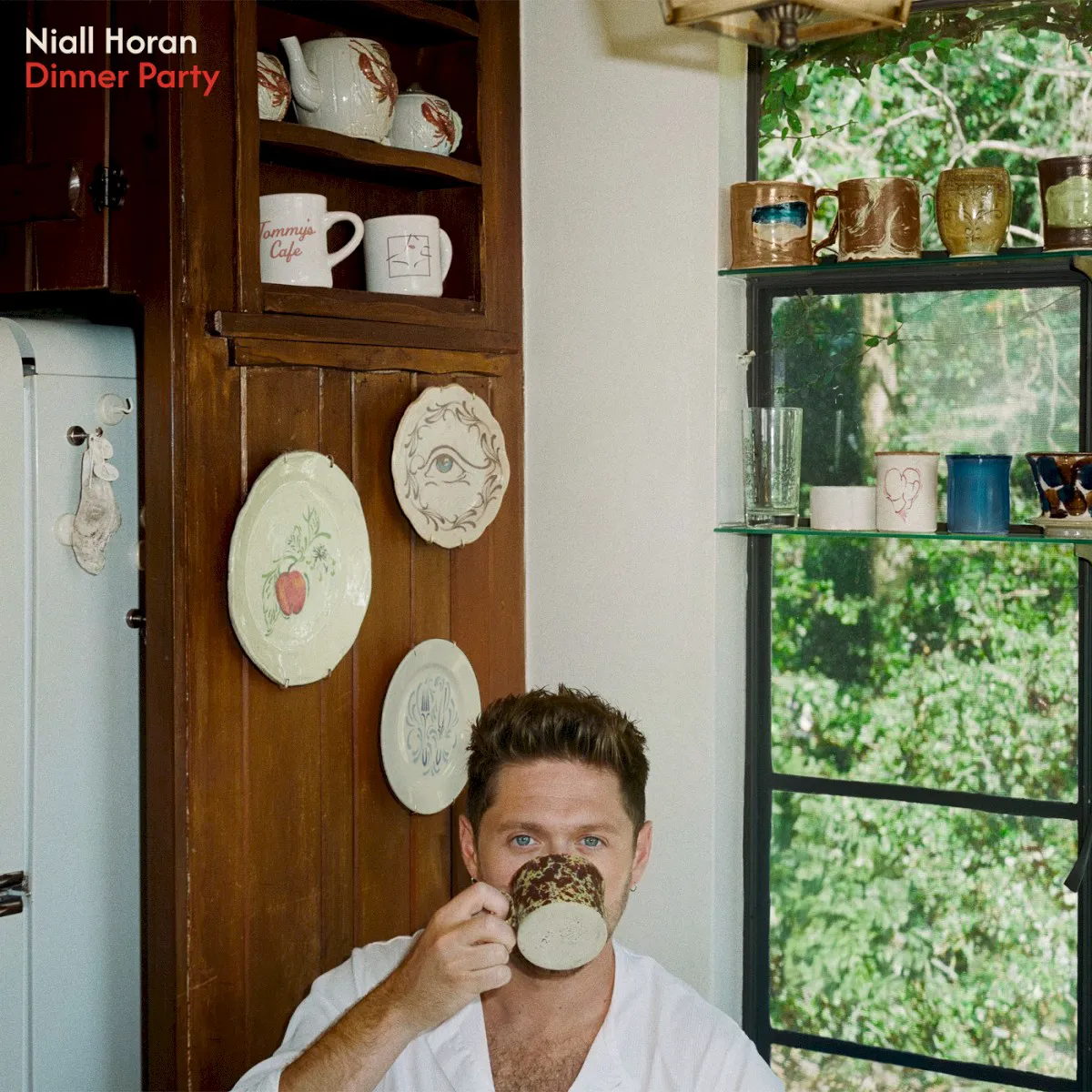 Cover of Dinner Party