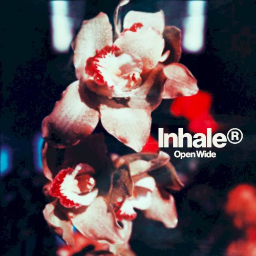Cover of Inhaler – Open Wide