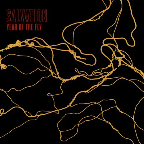 Cover of Salvation – Year of the Fly