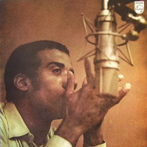 Cover of Força bruta