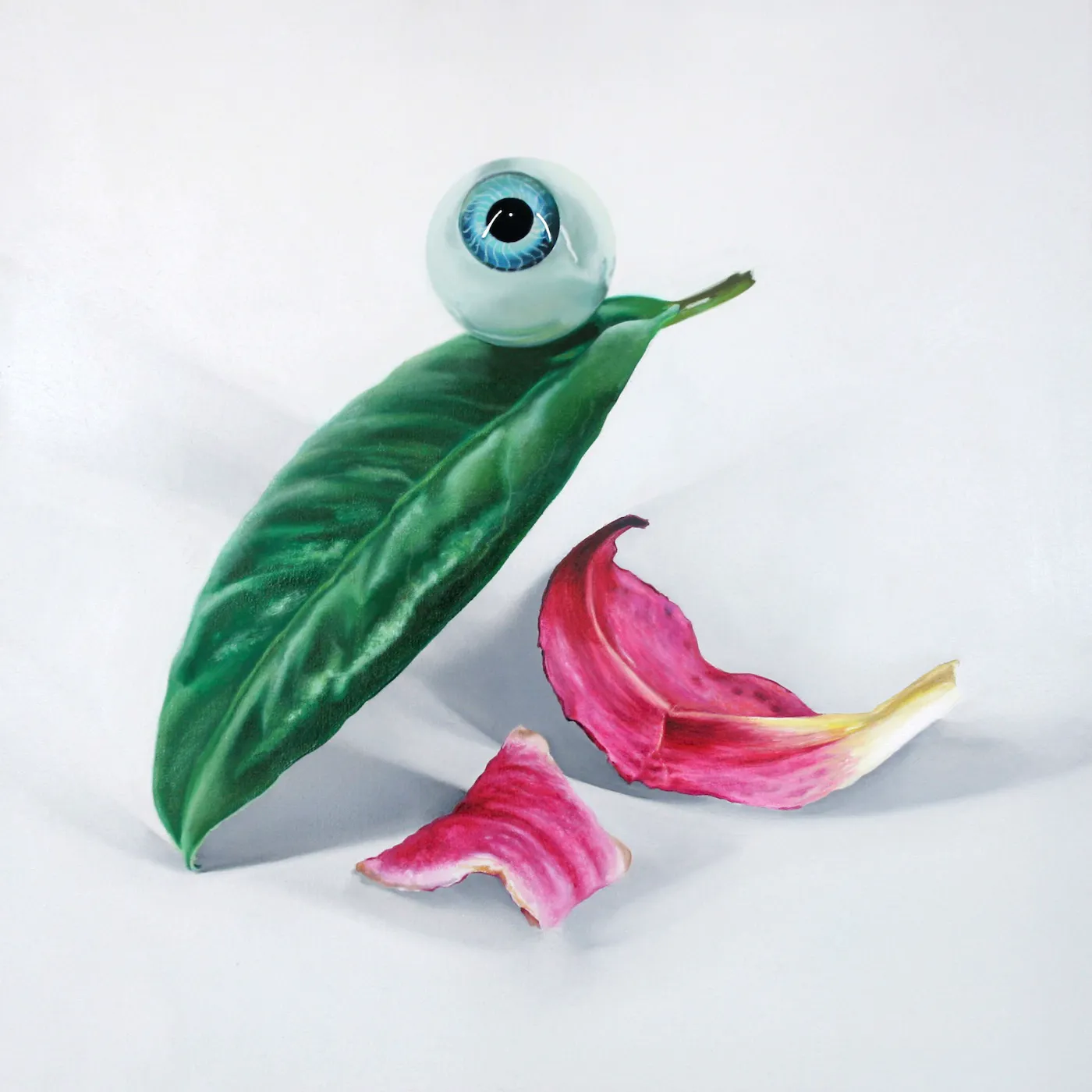 Cover of DELS – Petals Have Fallen