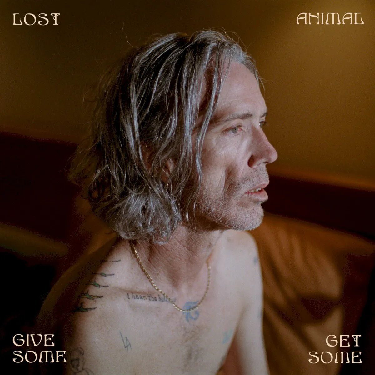 Cover of Lost Animal – Give Some Get Some