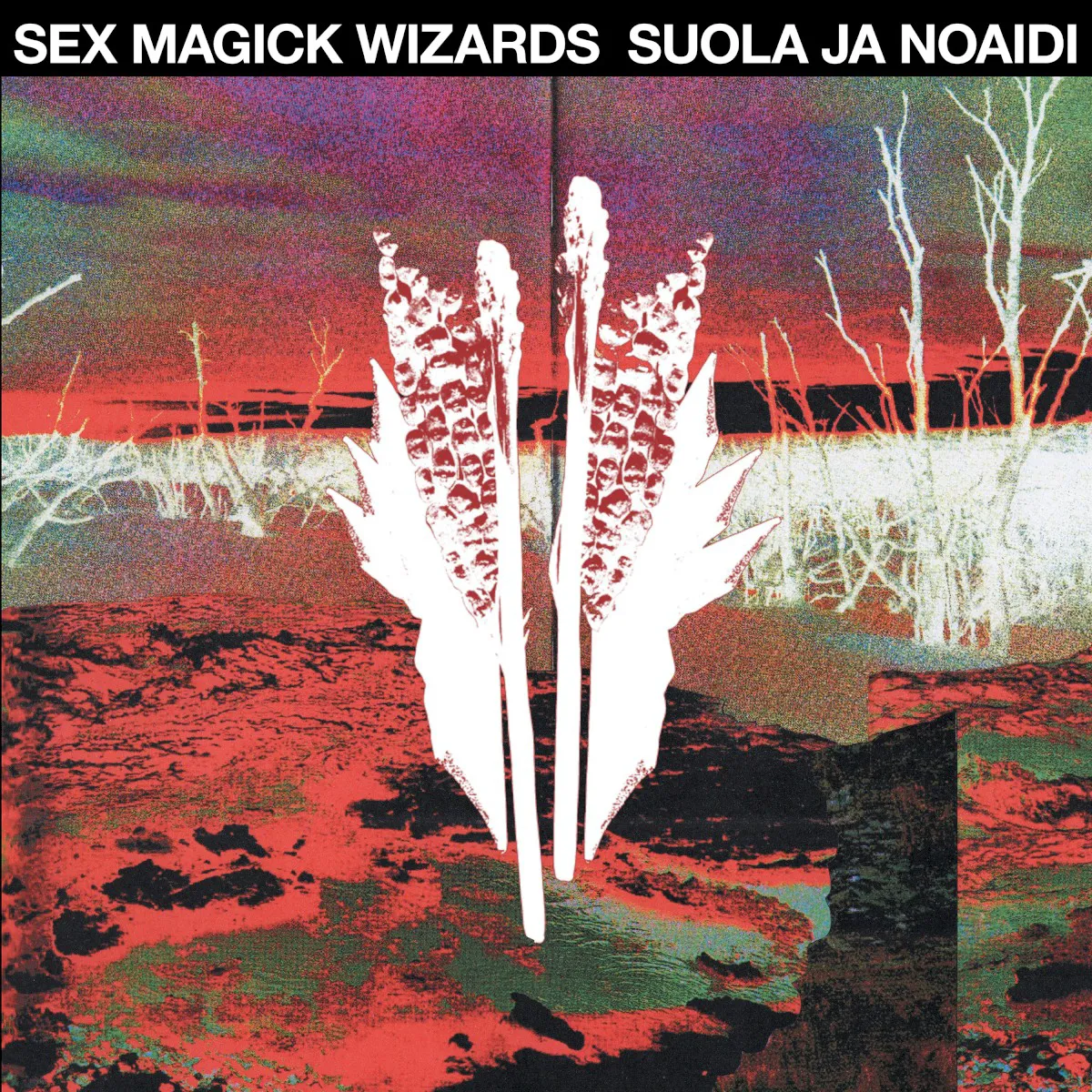 Cover of Suola ja Noaidi