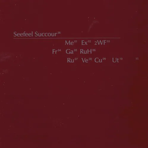 Cover of Seefeel – Succour