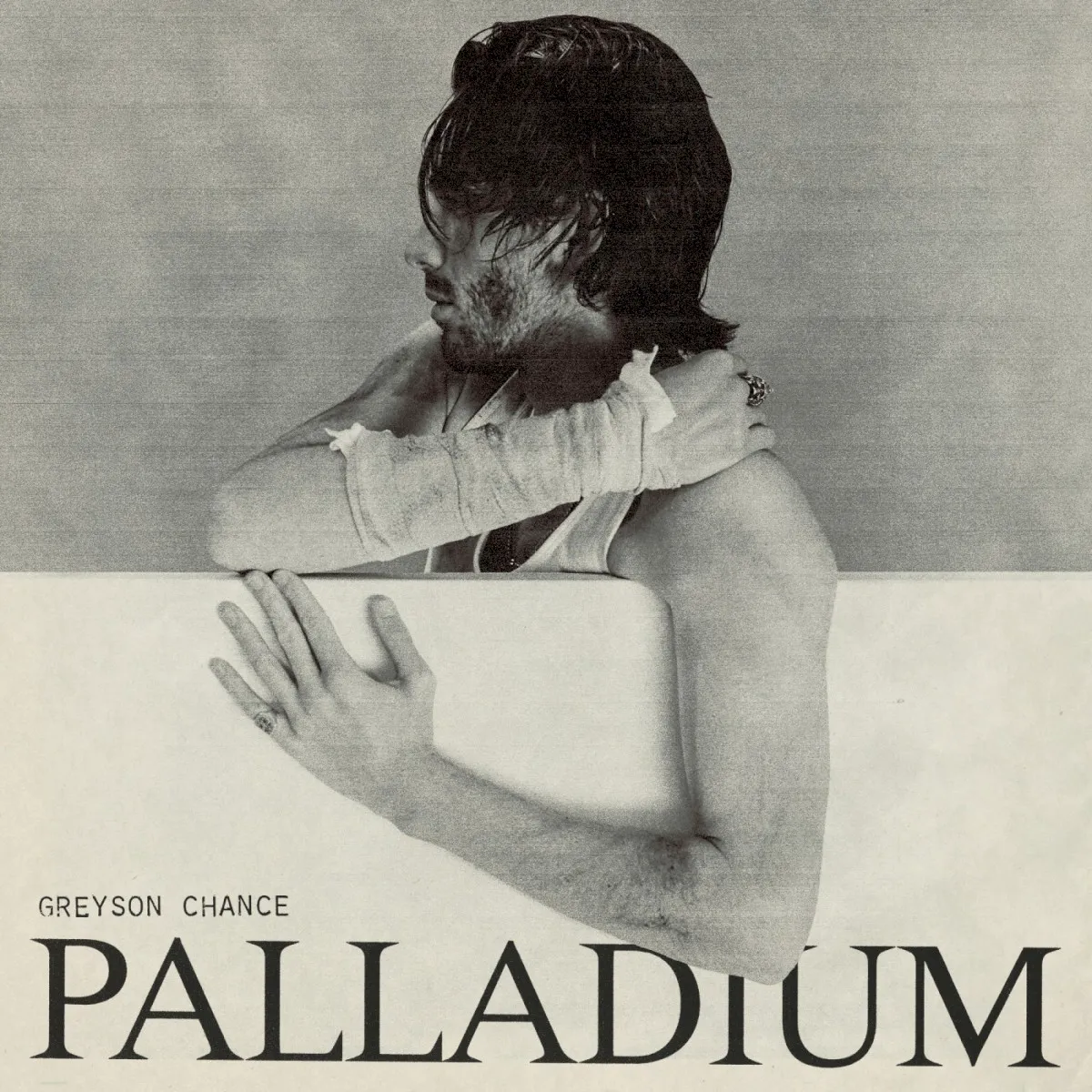 Obal albumu Palladium
