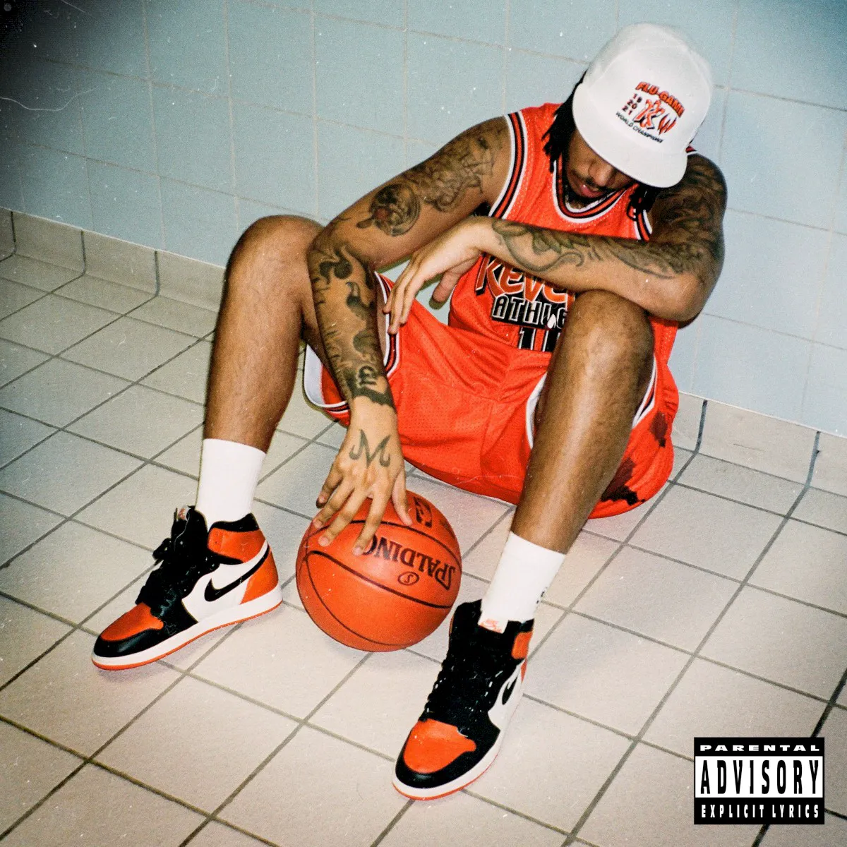 Obal alba Flu Game