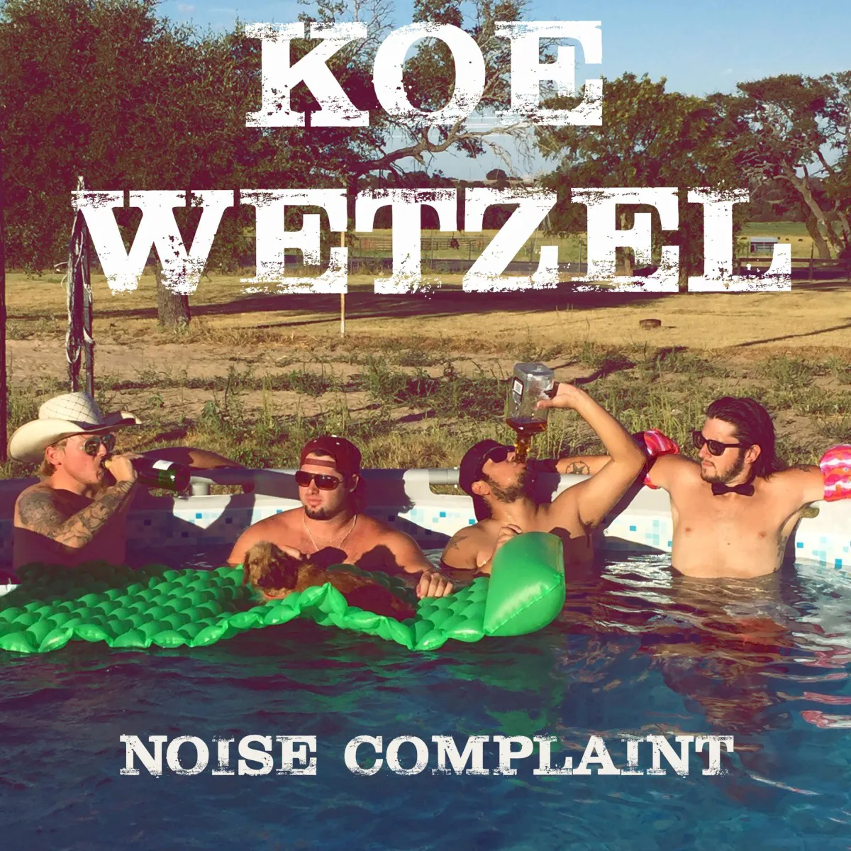 Cover of Noise Complaint