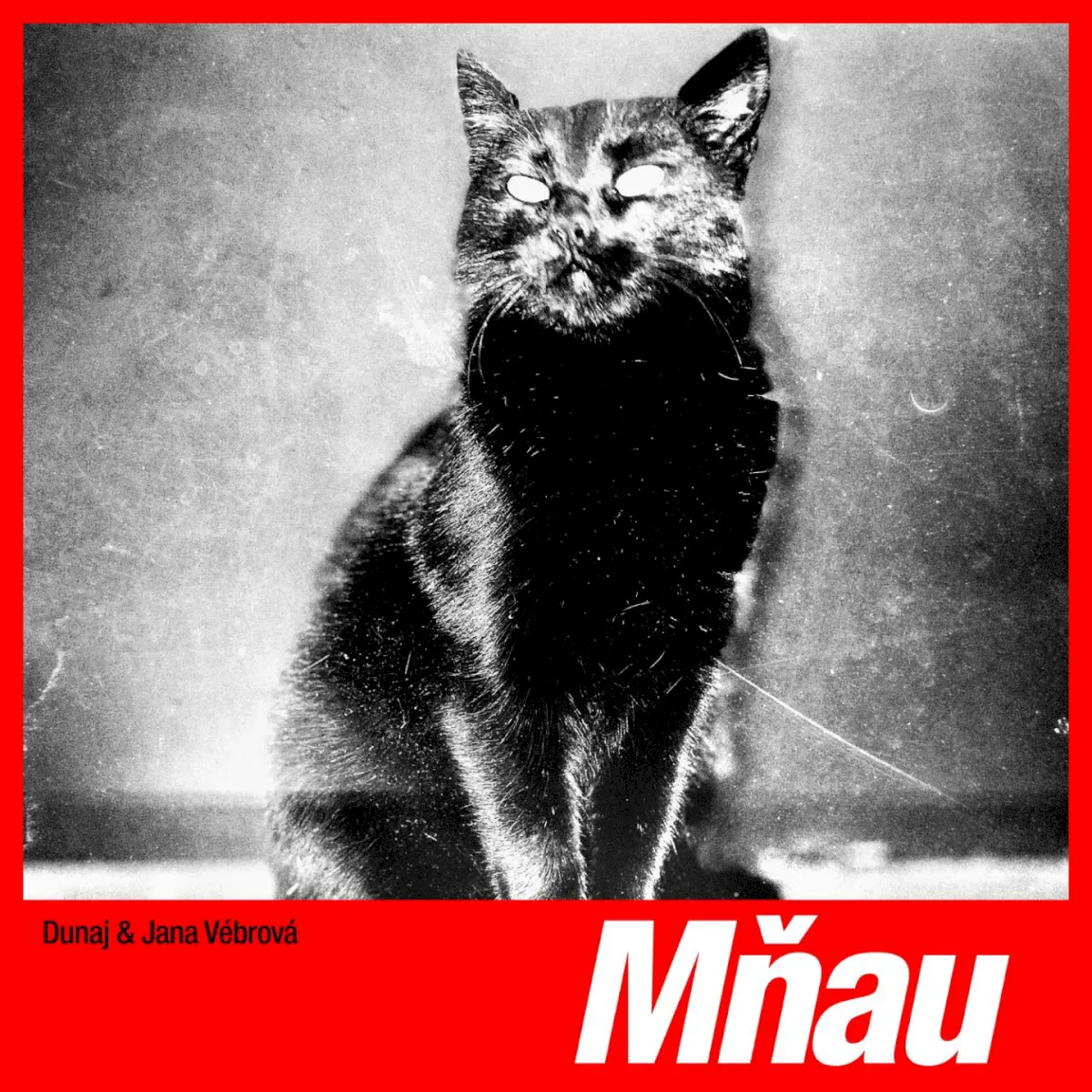 Cover of Mňau